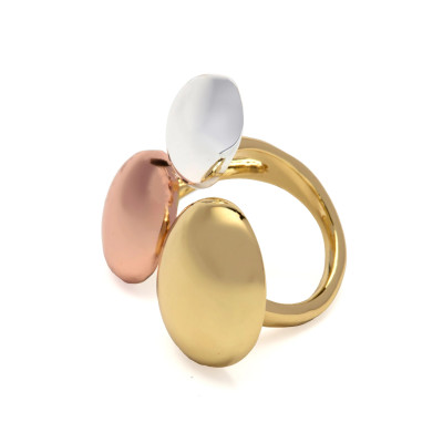 ANILLO BASUZ
