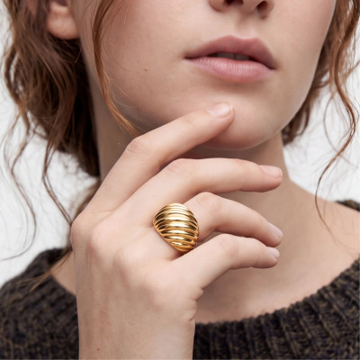 ANILLO KAIZAL